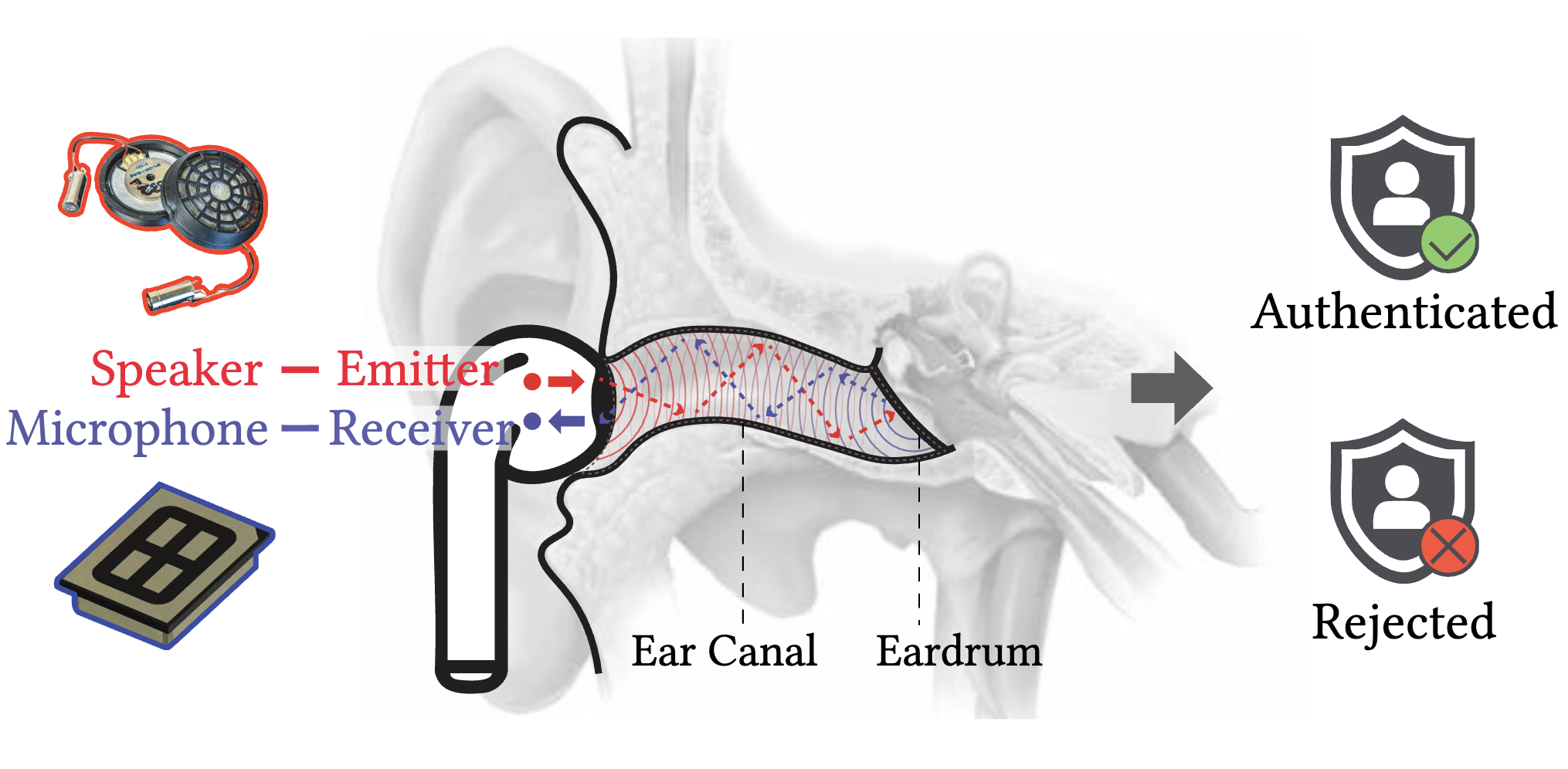 Who's Wearing? Ear Canal Biometric Key Extraction for User Authentication on Wireless Earbuds — research overview